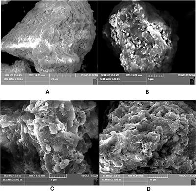 Catalytic Oxidation of Methylene Blue by Attapulgite/TiO2